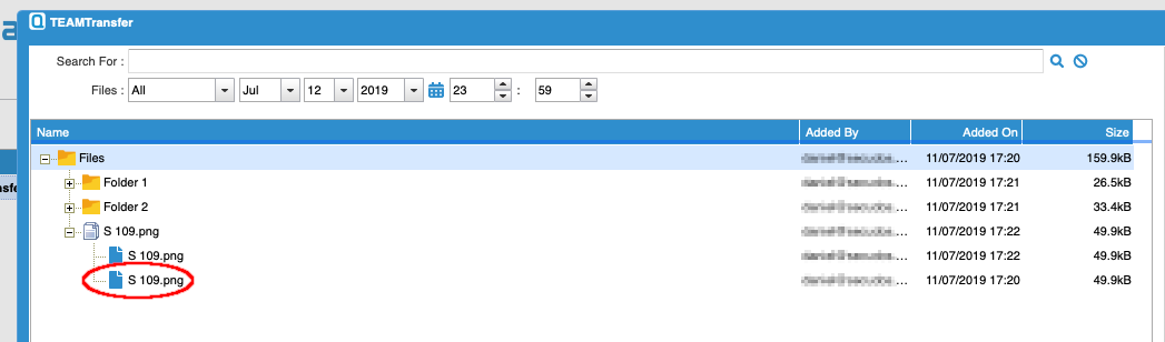 Files with multiple versions